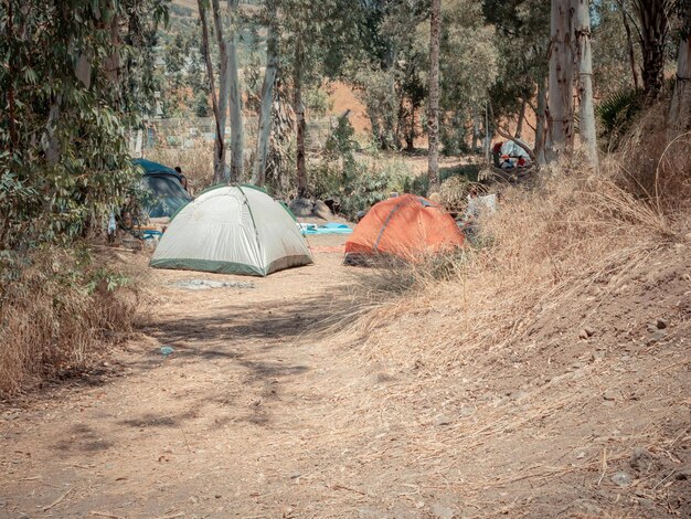 Photo des tentes dans la forêt