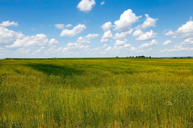 Sur terrain agricole