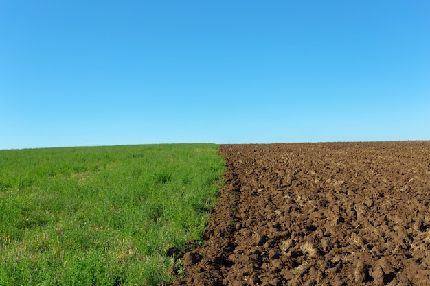 Terrain d&#39;agriculture