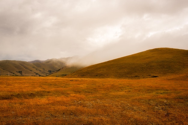 le terrain couvert de buttes sèches brûlées dans les hautes terres d'Ashburton