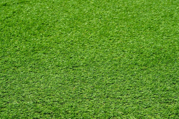 Terrain de football de fond d'herbe verte