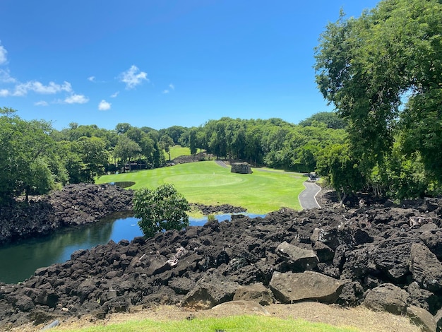 Terrain de golf avec de grands arbres et des canoës d'herbe verte brillante