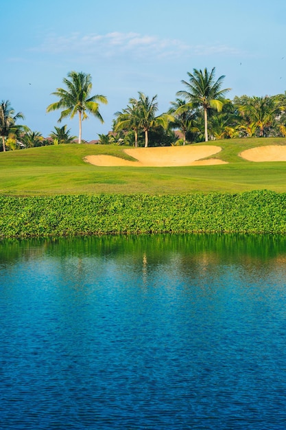 Un terrain de golf avec des palmiers en arrière-plan