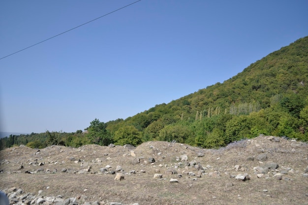 Photo terrain de montagne accidenté avec des arbres majestueux