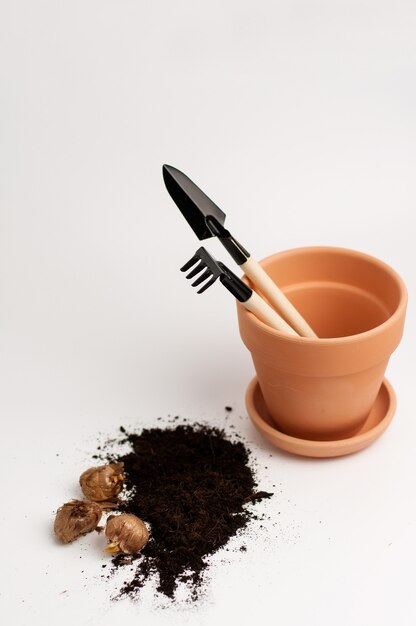 Terrain pour planter des fleurs, un pot en argile, des bulbes à fleurs et un râteau et une pelle en bois sur un fond blanc avec une place pour la signature