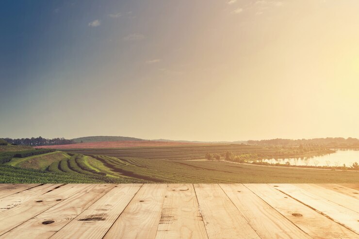 Photo terrain de thé et plateau en bois avec espace pour produit.