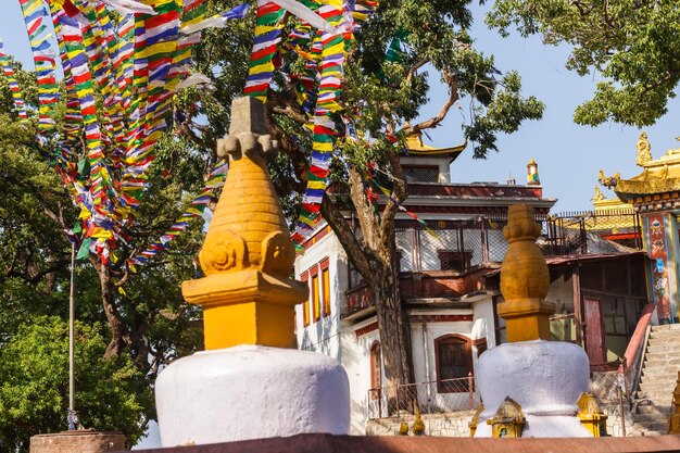 Terrains et bâtiments à Swayambhunath Népal