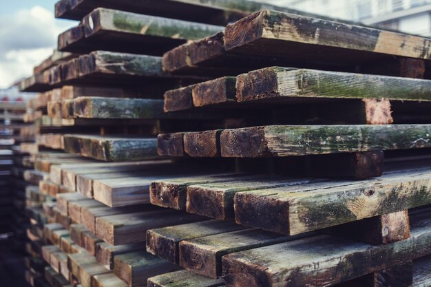 Terrasse en bois