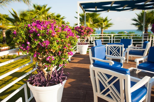 Terrasse de café d'été avec vue sur la mer, focus sur les fleurs