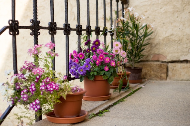 Terrasse avec des fleurs en pots Image avec mise au point sélective