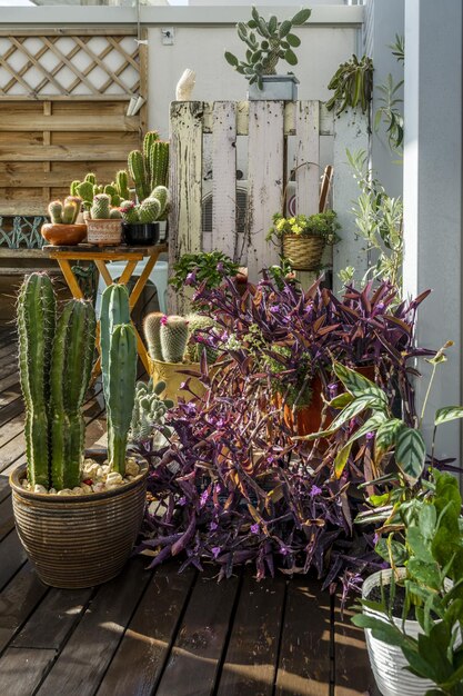 La terrasse d'un penthouse avec un bois sombre