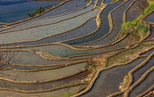Photo terrasses de riz à yuanyang, chine