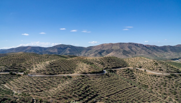 Terrasses de vignes pour la ligne de production de vin de port les coteaux de la vallée du Douro à Barca de Alva au Portugal