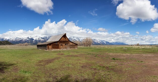 Terre d'arbres de grange et montagnes dans le paysage américain