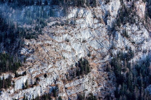 Terre de Berchtesgaden en hiver