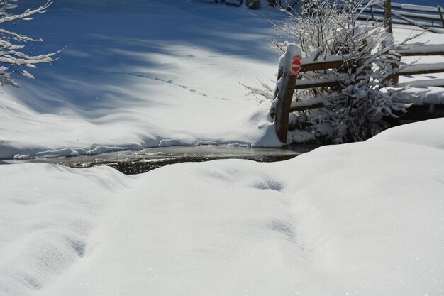 Photo terre couverte de neige et arbres sur le champ pendant l'hiver