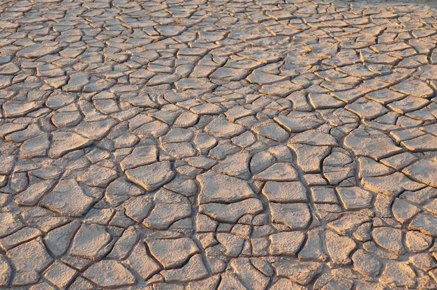 Terre fissurée par la sécheresse.