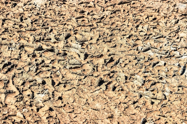 Terre fissurée séchée fond de texture du sol Manque de sol fertile Sécheresse Problèmes de récolte
