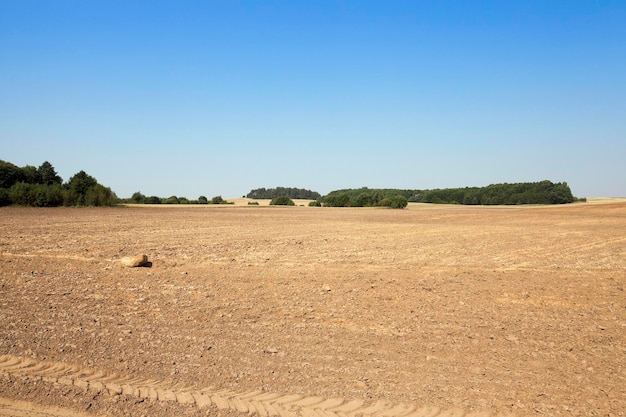 Terre labourée été