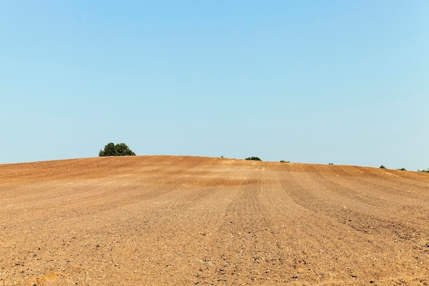 Terre labourée été