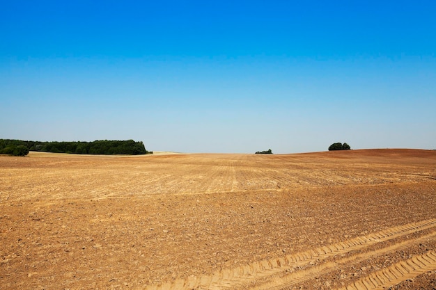 Terre labourée été