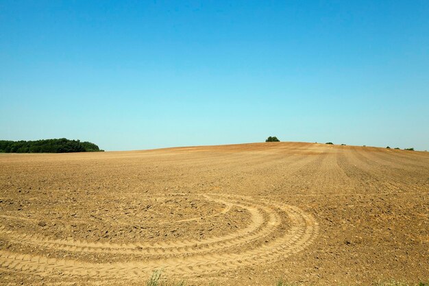 Terre labourée été