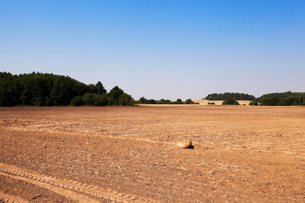 Terre labourée été