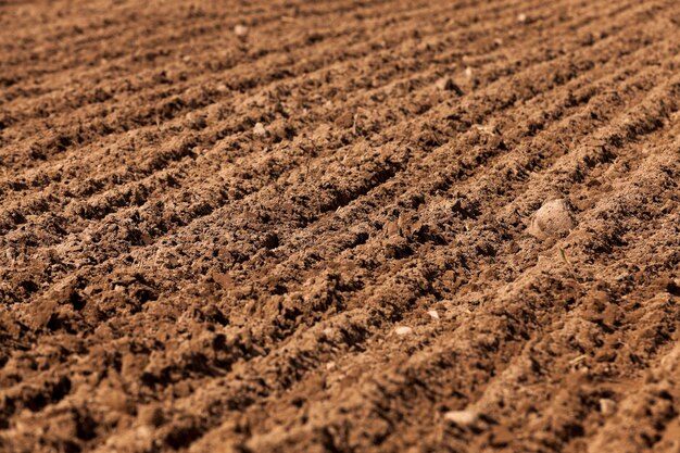 Terre labourée pour les céréales