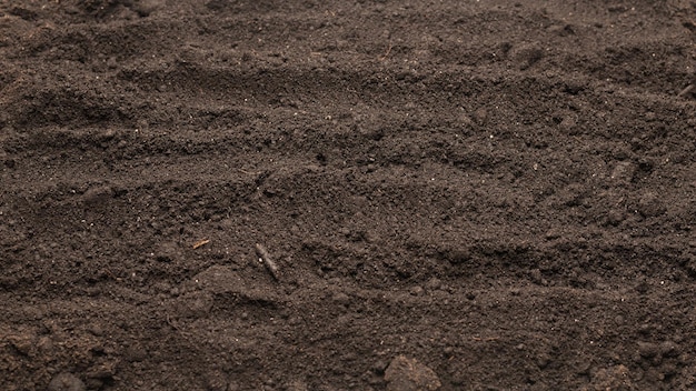 Terre noire pour fond de plante Vue de dessus