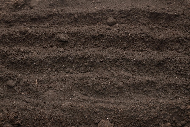 Terre noire pour fond de plante Vue de dessus