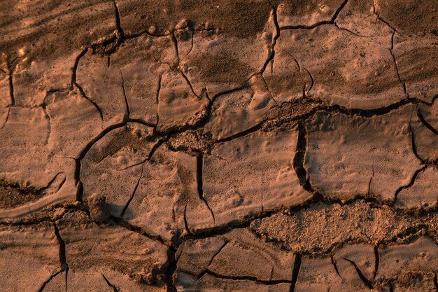 Terre sèche craquelée dans le désert le concept d'un réchauffement climatique global