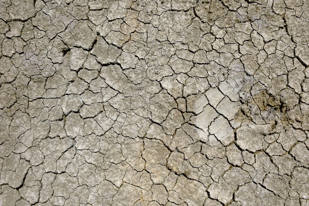 Terre sèche craquelée