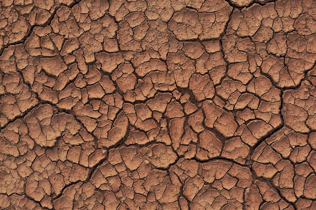 Terre sèche fissurée pendant la saison des pluies à cause du manque de pluie manque d'eau texture fissurée du sol