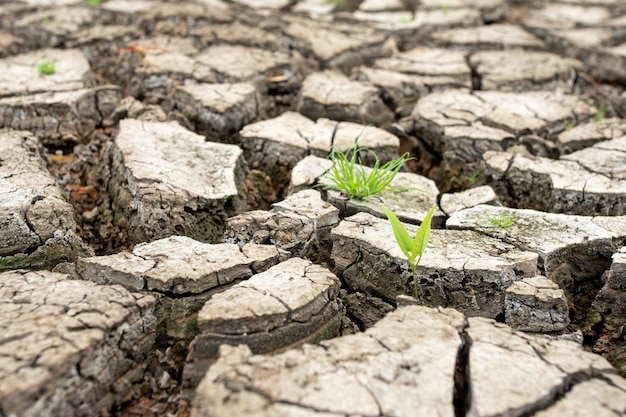 Terre sèche fissurée sans eauRésumé historique