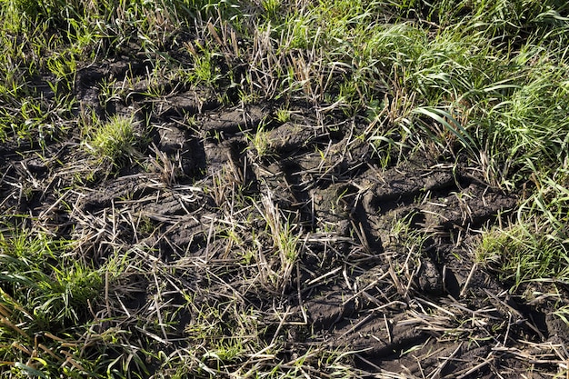 Terres agricoles arables