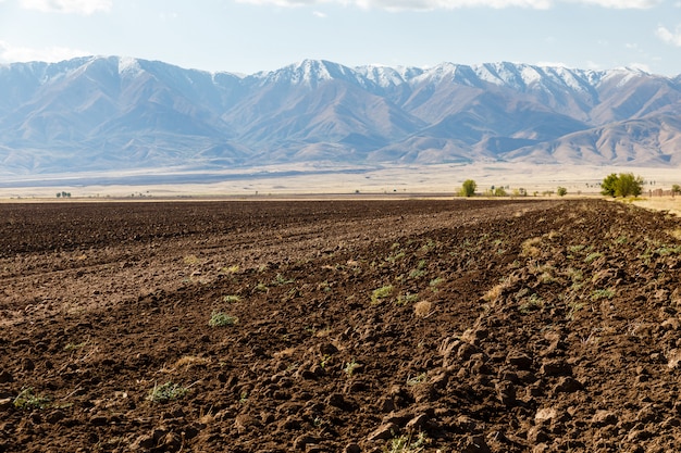 Terres agricoles, champ labouré sur fond de montagnes enneigées, Kazakhstan