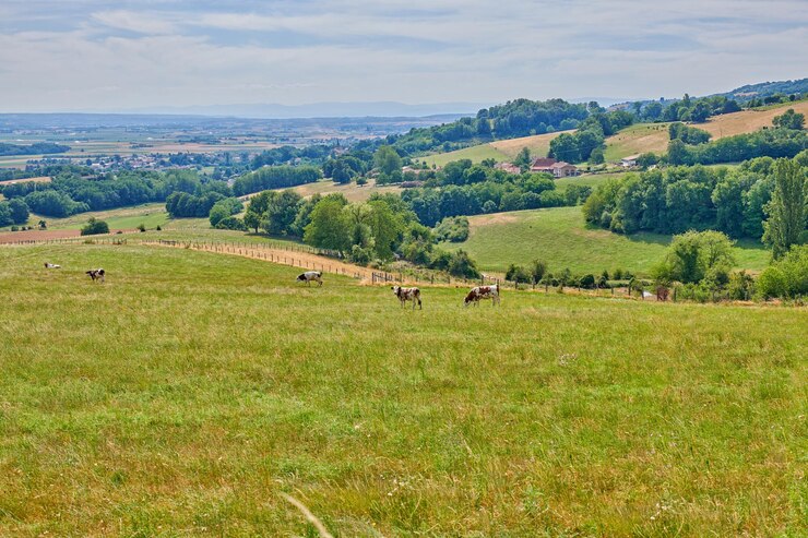 Photo terres agricoles et forêts rurales - près de lyon france une série de photos de terres agricoles et de forêts rurales près de lyon, france