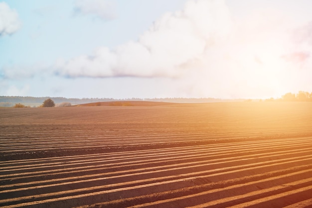 Terres agricoles sous un beau ciel au lever du soleil Zones rurales et campagne le matin