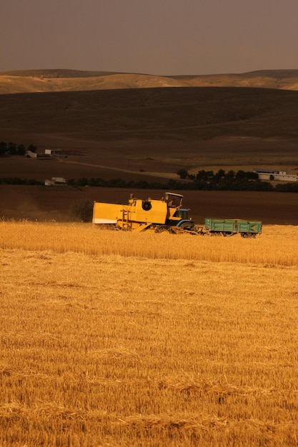 des terres agricoles