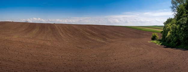 Des terres arables avec des arbres ombragés et un paysage agraire du printemps