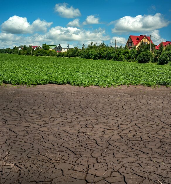 Les terres arables s'assèchent après les inondations dues à de fortes pluies un champ de soja vert et un village à proximité