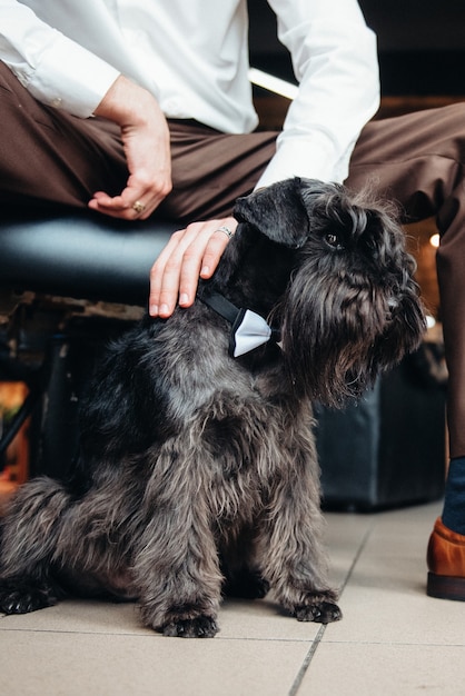 Terrier noir à côté d'un homme