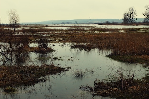 Territoire inondé d'eau