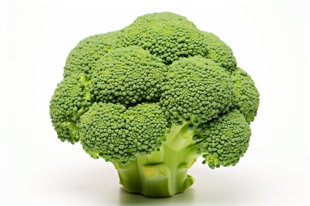 Photo une tête de brocoli sur fond blanc