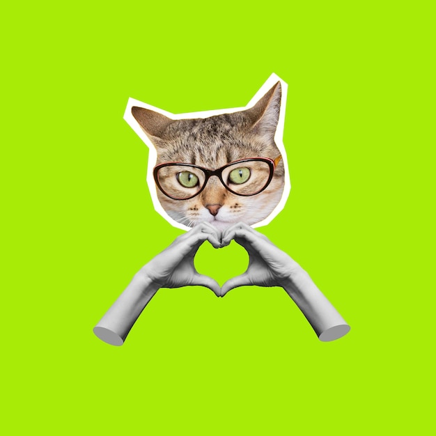 Tête de chat dans des verres montrant une forme de coeur avec les mains isolées sur fond vert clair