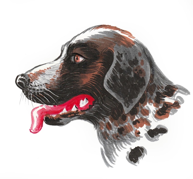 Photo tête de chien de chasse. dessin à l'encre et à l'aquarelle