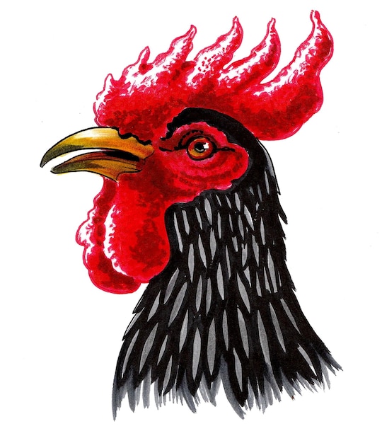 Tête de coq noir Dessin à l'encre et à l'aquarelle