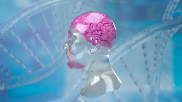 La tête de cristal et le cerveau pour la science ou le concept d'éducation rendu 3d