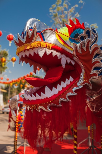 Tête de dragons lors d'un festival