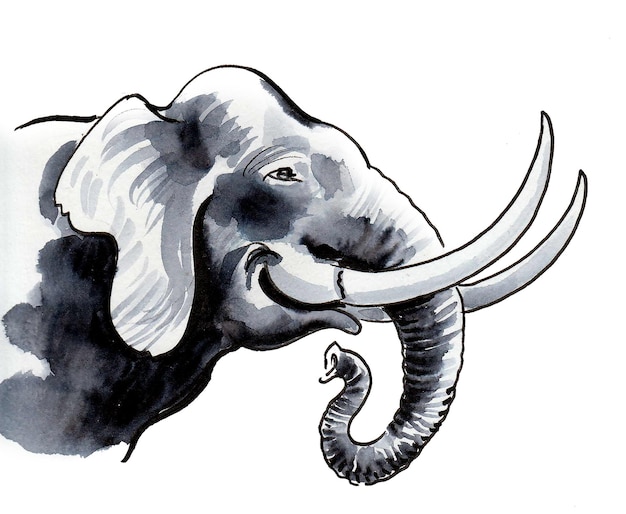 Tête d'éléphant. Dessin à l'encre et à l'aquarelle